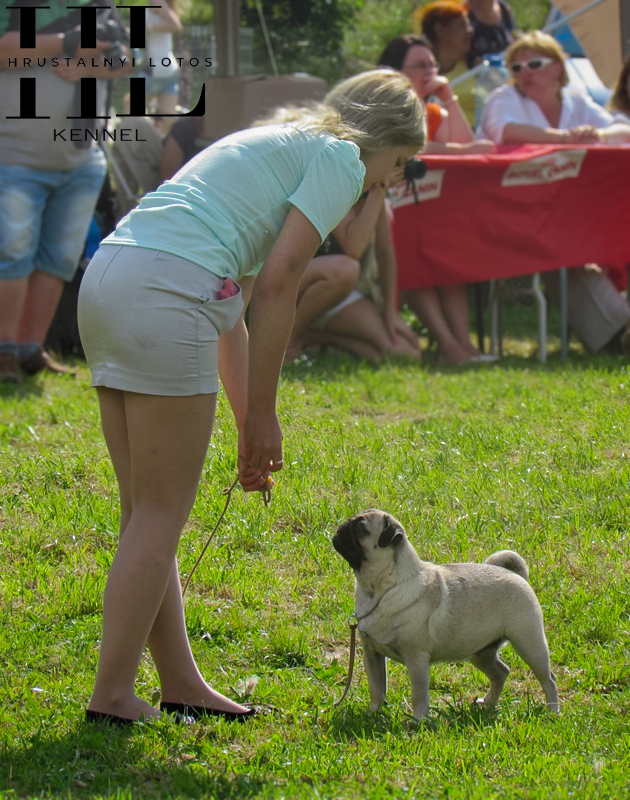 Love Game Hrustalnyi Lotos
