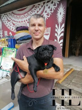 Kamila Black Sozvezdie Vailbris